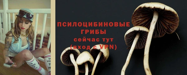 кокс Беломорск