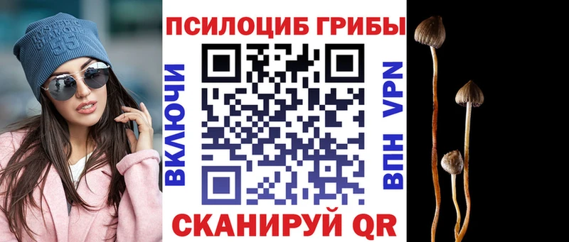 Псилоцибиновые грибы Magic Shrooms  hydra зеркало  Дигора 